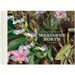 Marianne North Livro