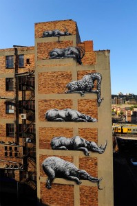 Roa